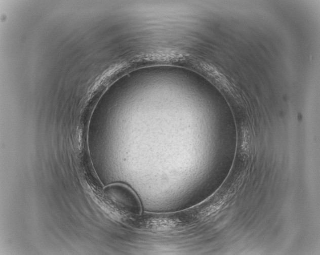 X0000059040636200510101011