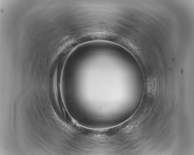 X0000059040637200510101011