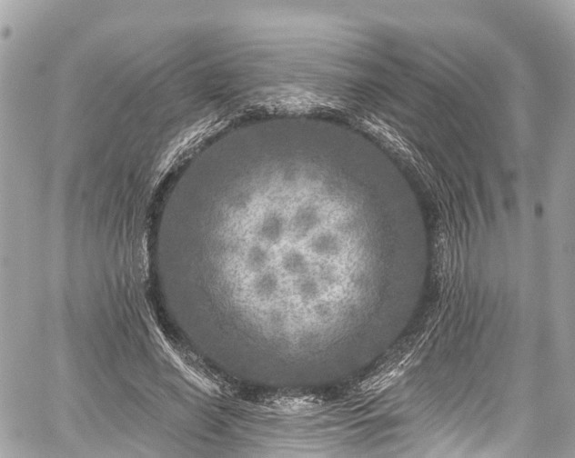 X0000059040638200510101011