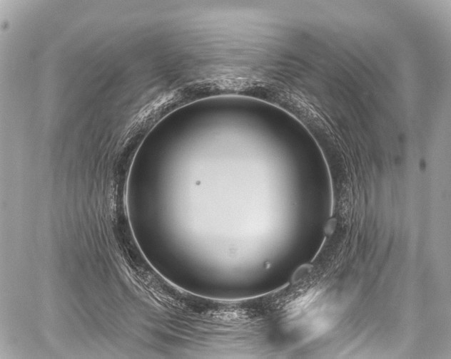 X0000059040639200510101011