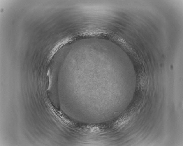 X0000059040640200510101011