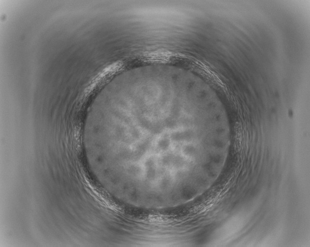 X0000059040641200510101011