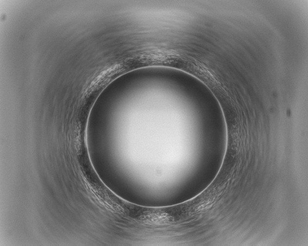 X0000059040642200510101011