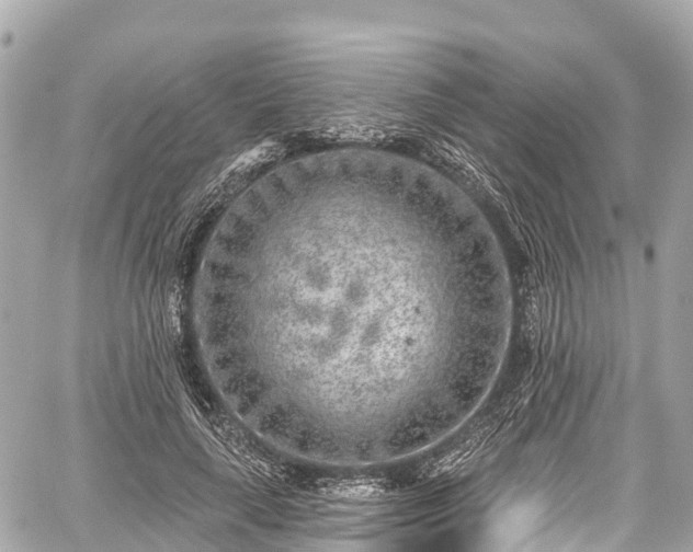 X0000059040643200510101011