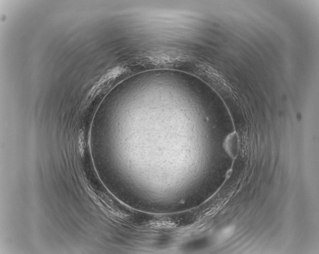 X0000059040644200510101011