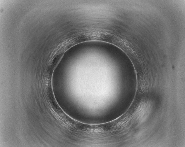 X0000059040645200510101011