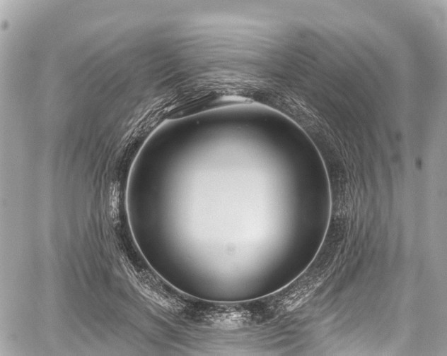 X0000059040646200510101011