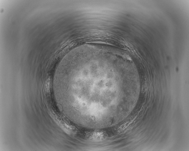 X0000059040647200510101011