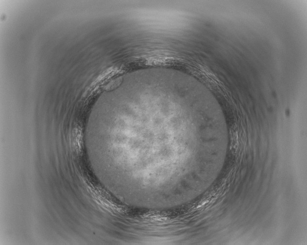 X0000059040648200510101011