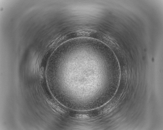 X0000059040649200510101011