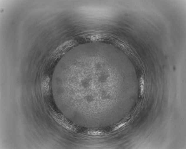 X0000059040650200510101011