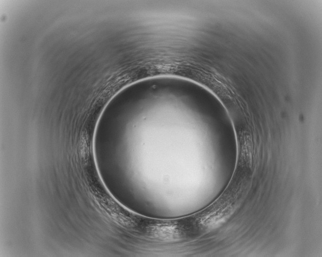 X0000059040651200510101011