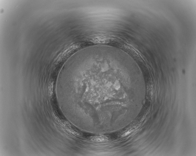 X0000059040652200510101011