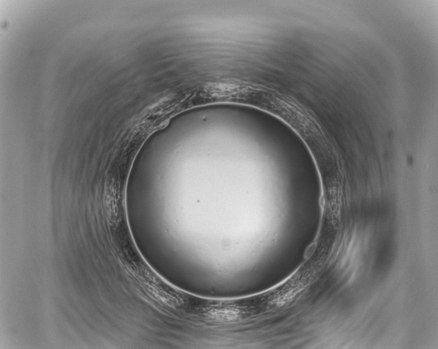 X0000059040653200510101011