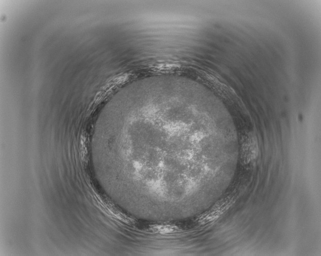 X0000059040654200510101011