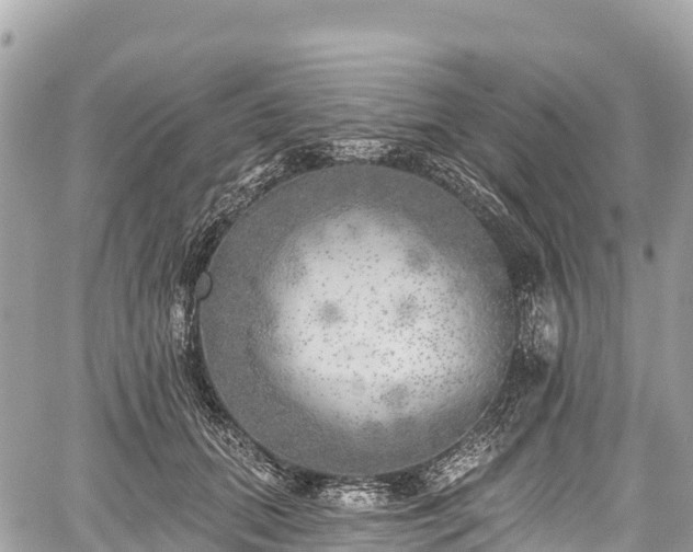 X0000059040655200510101011