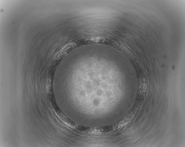 X0000059040656200510101011