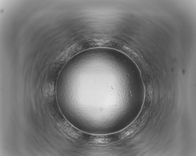 X0000059040657200510101011