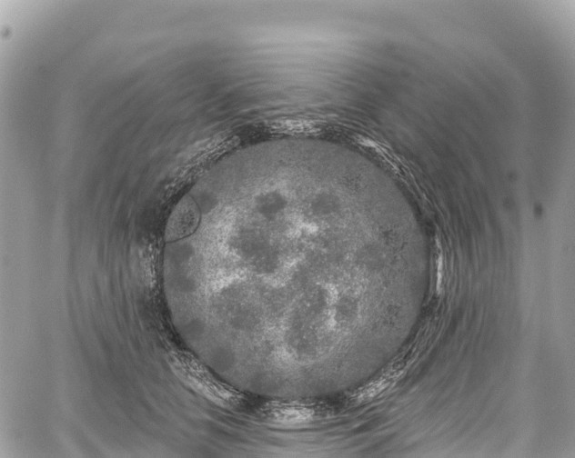 X0000059040658200510101011