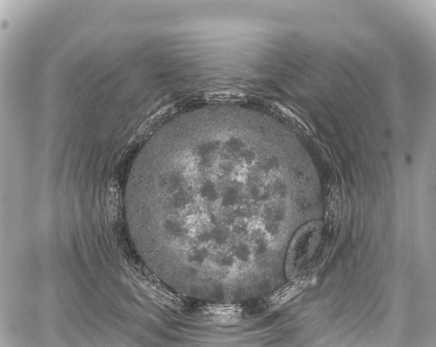 X0000059040659200510101011