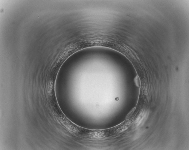 X0000059040660200510101011