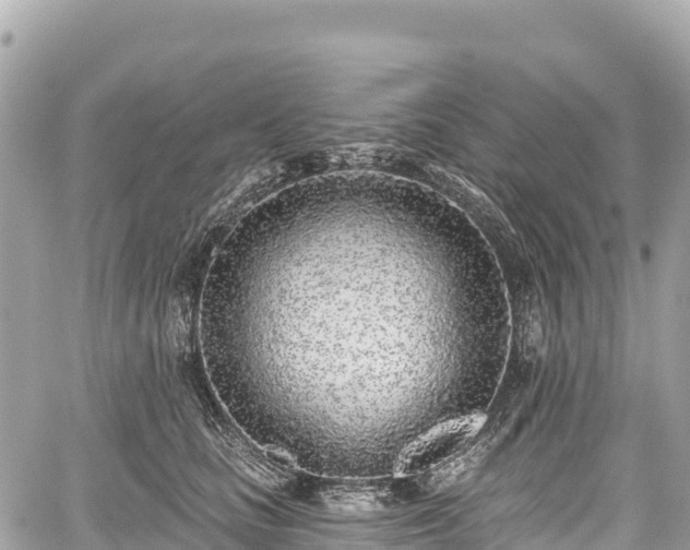 X0000059040661200510101011