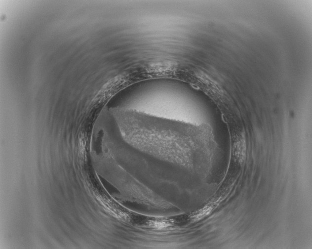 X0000059040662200510101011