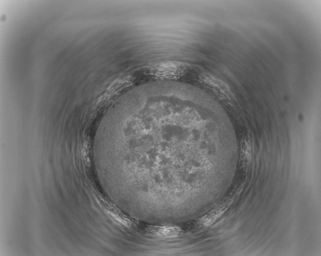 X0000059040663200510101011