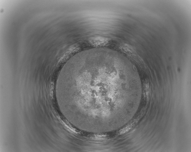 X0000059040664200510101011