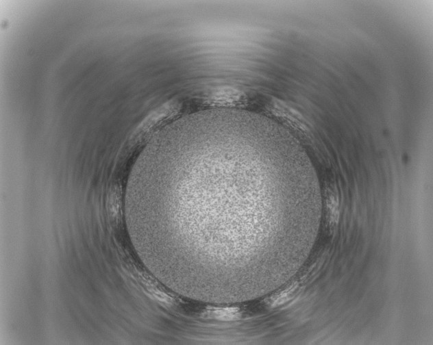 X0000059040665200510101011