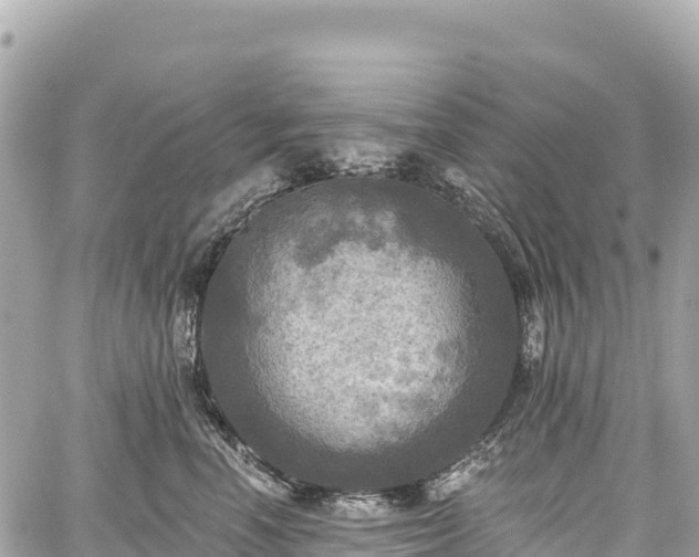 X0000059040666200510101011