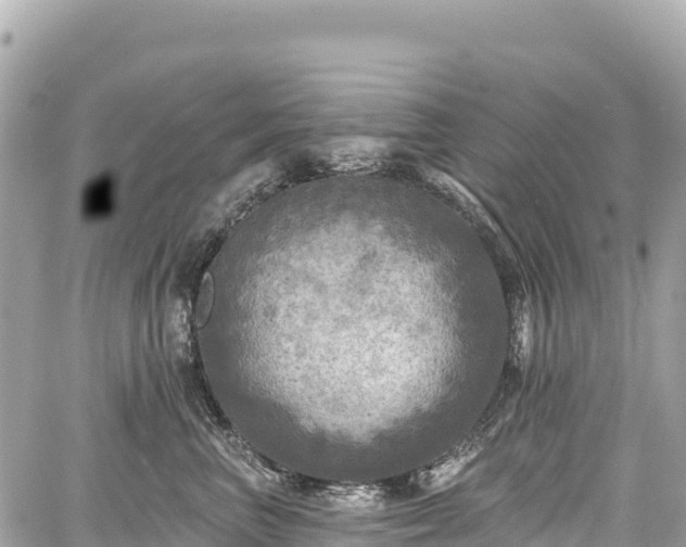 X0000059040667200510101011