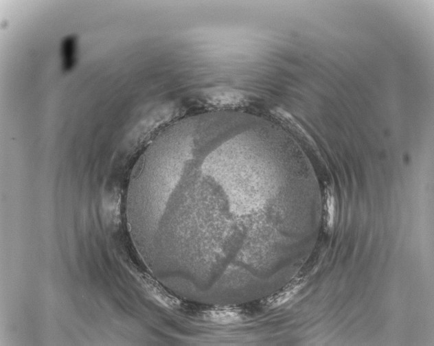 X0000059040668200510101011