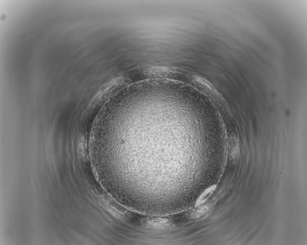 X0000059040669200510101011