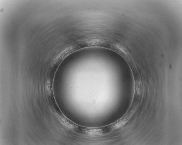 X0000059040670200510101011