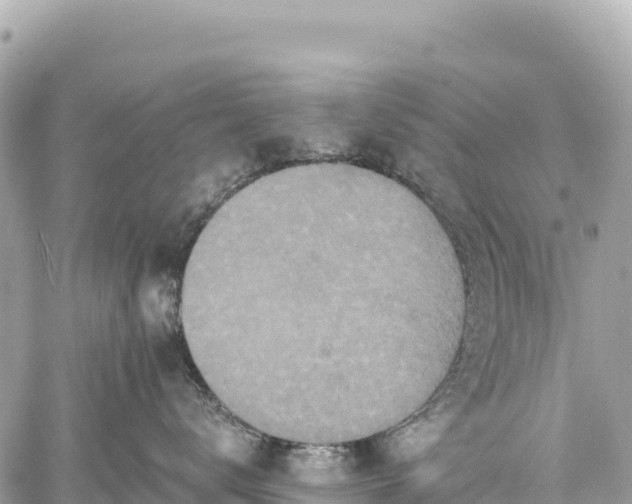 X0000059040672200510101011