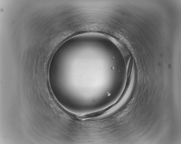 X0000059040673200510101010