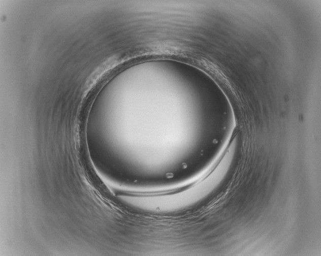 X0000059040676200510101010