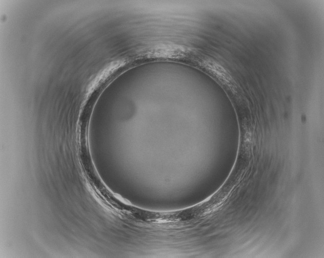 X0000059040678200510101010