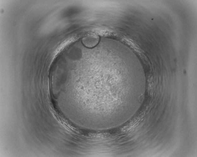 X0000059040679200510101010