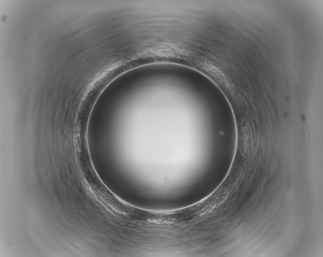 X0000059040680200510101010