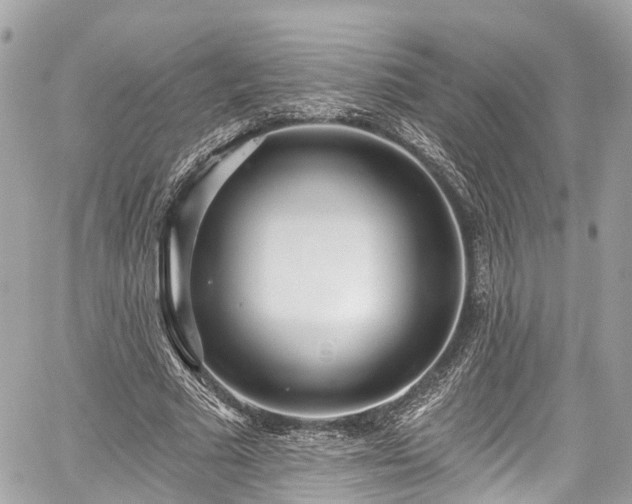 X0000059040681200510101010