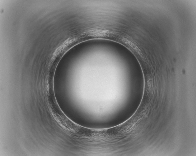 X0000059040682200510101010