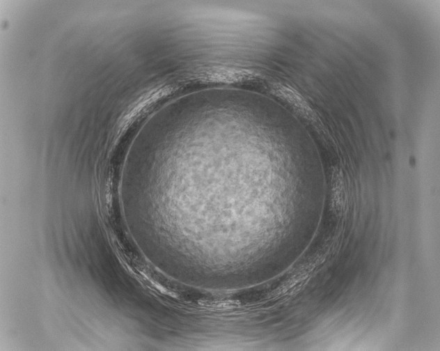 X0000059040683200510101010