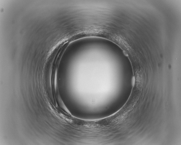 X0000059040684200510101010