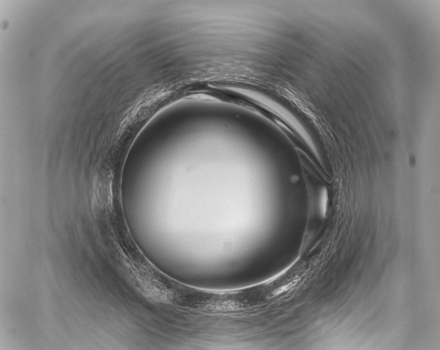 X0000059040685200510101010