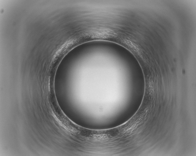 X0000059040686200510101010