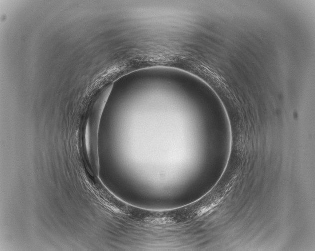 X0000059040689200510101010