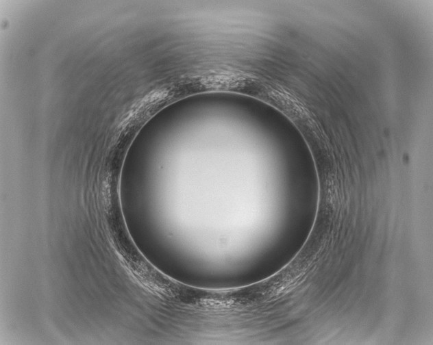 X0000059040690200510101010