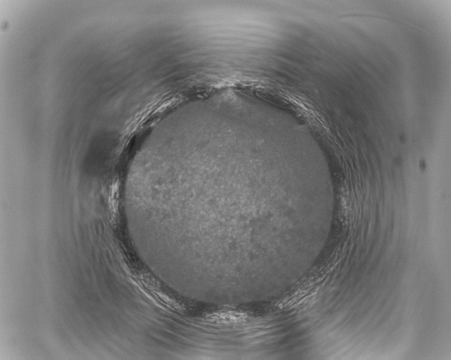 X0000059040691200510101010